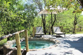 Private Game Reserve Lodge pool 