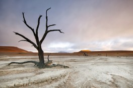 Sossusvlei desert landscape 