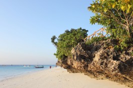 Tanzania Safari, Zanzibar Holiday  by Jorge Cancela