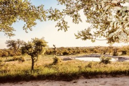 Klaserie Private Reserve lodge view 
