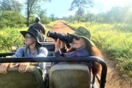Open Game Drive Vehicles Makes for Good Photo Opportunities 