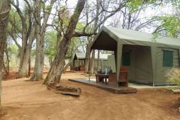 Safari accommodation 