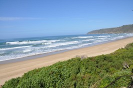 Wilderness Beach  by Steve Lamb