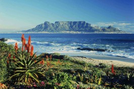 Distant view of Cape Town and Table Mountain  by SA Tourism