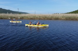 Garden Route Tour, Canoeing Wilderness 