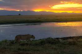 African sunset on Kenya Safari 