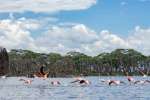 Lake Naivasha flamingoes, Kenya  by Nina R