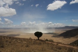Ngorongoro Crater  by Joe Pyrek