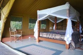 Accommodation 