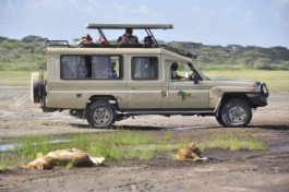 Transport 