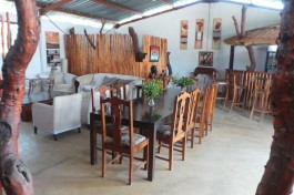 Safari camp bar 