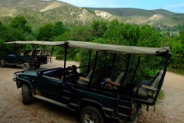 Game viewing vehicle 