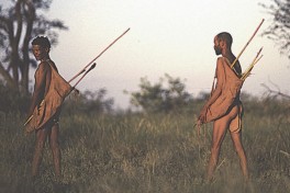 Botswana overland tour 