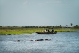 Chobe Park, Botswana safari 