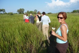 Okavango Delta Walk 