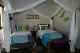 Twin room, Mozambique Safari 