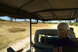Private Botswana Safari drive 