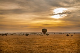 Serengeti 