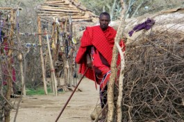 Masai 