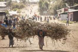 Carrying heavy loads in ethiopia 