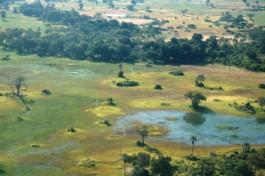 Aerial Delta view 