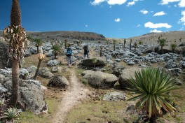 Bale mountains park walk  by Petr Meissner