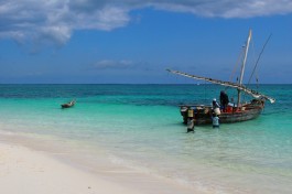 Zanzibar  by Samir Luther