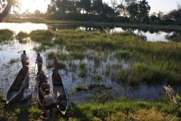 Okavango Delta 