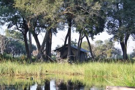 Botswana Delta 