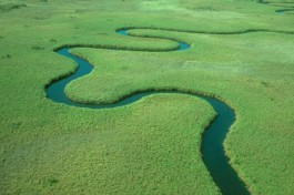 Okavango View 