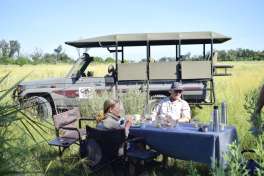 Picnic in the Bush 