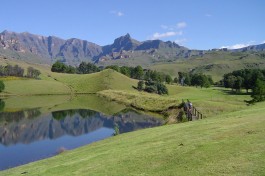 South Africa Self Drive Tour - Drakensberg gardens  by Trevor Birchall