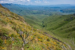South Africa Tour - Drakensberg mountains  by Klim Levene