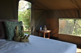 Tented room 