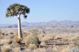 Namibia lodge safari, scenery 