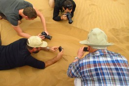 Namib Desert tour, Namibia Safari 