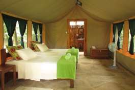 Udzungwa Accommodation 