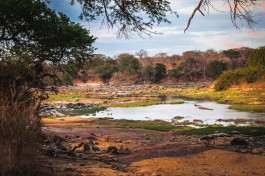 Private Tanzania Safari, Ruaha river scenery 
