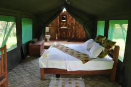 Safari Accommodation 