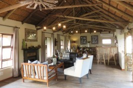 Amakhala Game Reserve tented camp lounge 