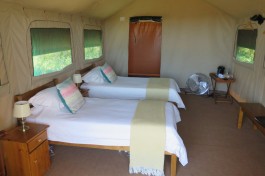 Amakhala game reserve woodbury tented camp twin bedroom 