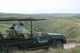 Greater addo port elizabeth accommodation amakhala game reserve game viewing 