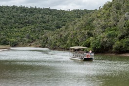 Kariega river cruise 