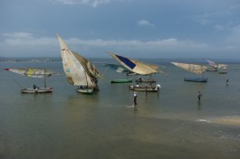 Inhambane dhows  by Richard Stupart