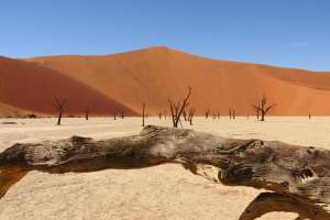 Deadvlei Namibia safari
