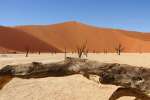 Deadvlei Namibia safari 