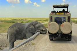 Namibia safari 4x4 vehicle 