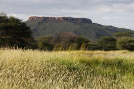 Namibia safari Waterberg Plateau 