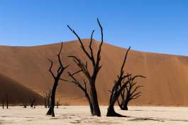 Deadvlei namibia safari 