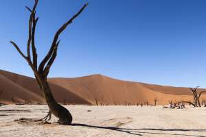 Deadvlei namibia safari